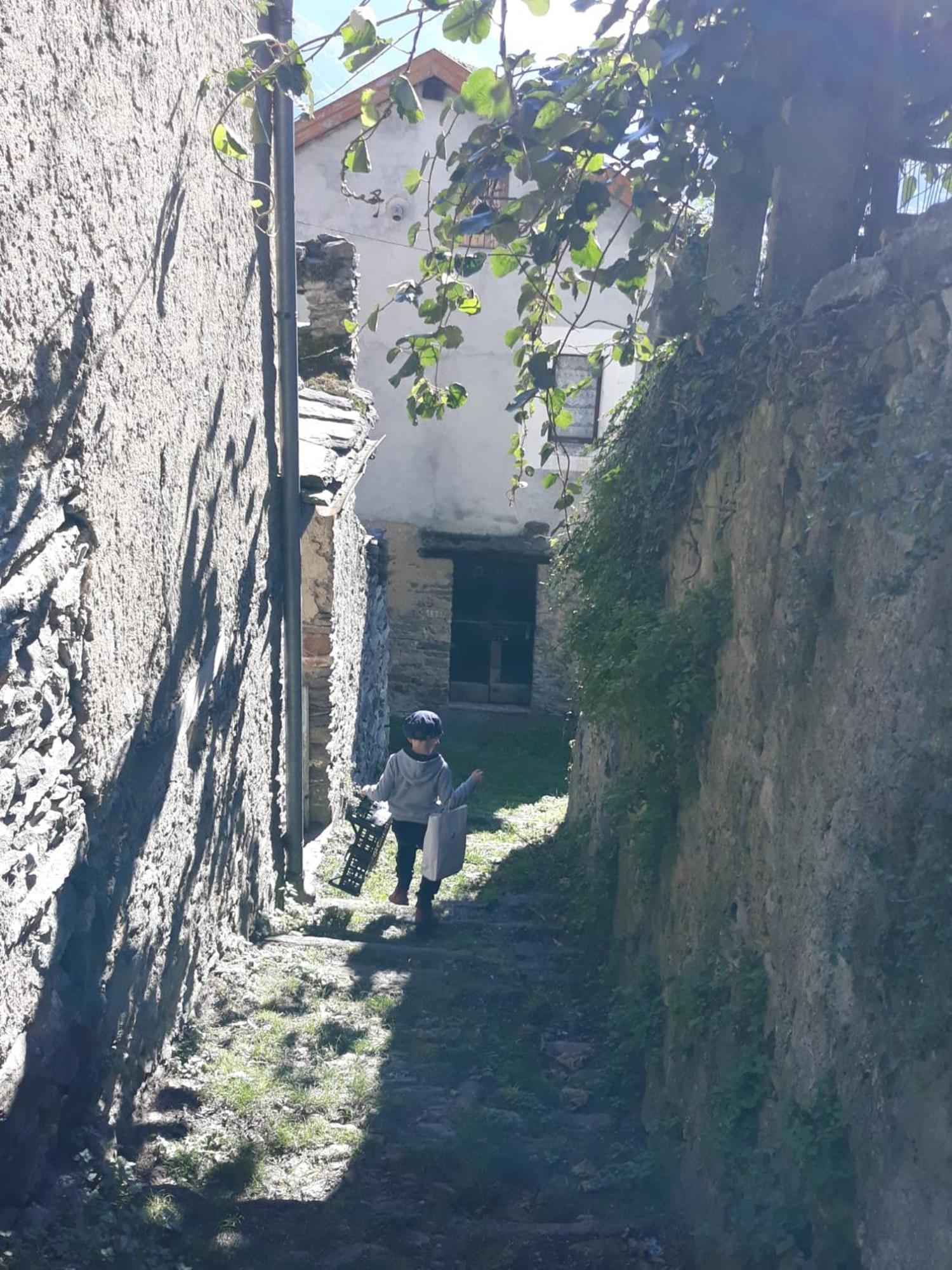 Villa Al Pinone Crevoladossola Esterno foto